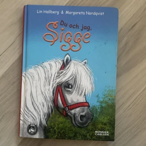 Bok  - Lättläst hästbok för barn
