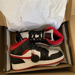 Jordan 1  - Har använt skorna 1 gång, mycket bra skick