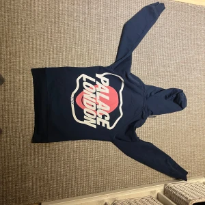 RARE! Palace hoodie M25 Alien - En jättefin rare hoodie från palace kollektionen hette m25 Alien och den är vintage men i mycket bra skick:8/10. OBS PRIS ÄR INTE HUGGET I STEN