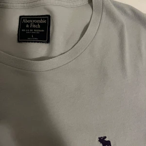 Ljusblå t-shirt från Abercrombie & Fitch - Snygg ljusblå t-shirt från Abercrombie & Fitch med en liten mörkblå logga på bröstet. Perfekt för en avslappnad stil. Tillverkad i mjukt material för extra komfort. Pris kan såklart diskuteras.
