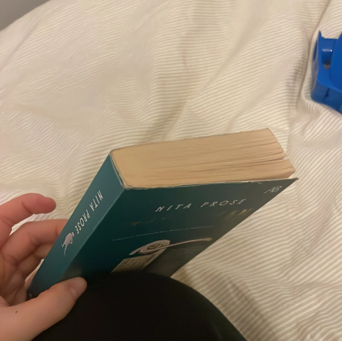 Städerskan av Nita Prose - 2