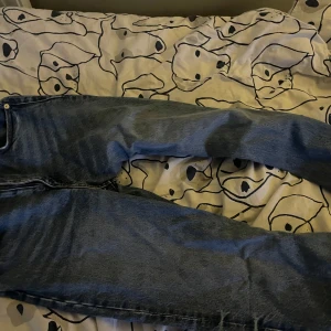 Blå jeansbyxor zara - Snygga blå jeansbyxor med klassisk design. De har en dragkedja och knapp framtill. Perfekta för en avslappnad stil.