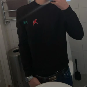 Svart tröja från Axel Arigato - Säljer en riktigt snygg Axel Arigato tröja då den börjat bli för liten. Storlek xs som passar 170cm perfekt. Cond: 9/10 då den inte har använts så mycket. Säljer den för 399kr och priset kan absolut diskuteras. Nypris 1199kr.
