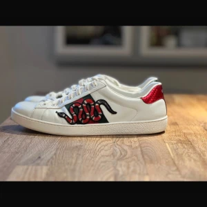 Gucci ace snake - Säljer mina Gucci ace snake som är i väldigt bra skick till skillnad från många andra här på plick, dom är storlek 42 men passar även 43. 