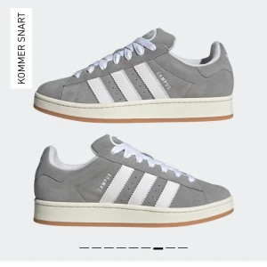 Gråa adidas campus  - Säljer mina gråa adidas campus skor från mertchsweden köpta för 1600, inte så andvända, skriv för fler frågor🥰