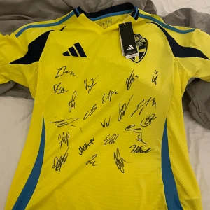 Svensk hemmatröja  - Säljer en svensk hemmatröja signerad av svenska herrlandslaget 