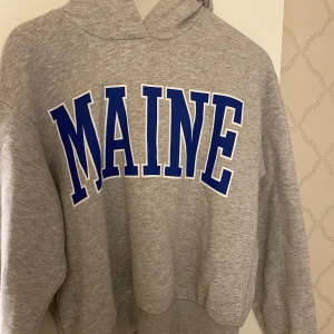 Grå hoodie med tryck - Säljer en grå hoodie med texten 'MAINE' i blått på framsidan. Den har en klassisk passform med huva och ribbade muddar vid ärmslut och nederkant. Köpt på Gina tricot.