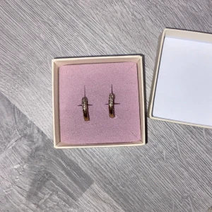 Guldiga glitter örhängen - Vet inte exakt vilket märke de kommer ifrån, säljer då jag inte använder guldsmycken🥰