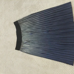 Blå plisserad kjol från Lindex - Snygg blå plisserad kjol från Lindex för barn. Kjolen har en elastisk midja i svart och är perfekt för både lek och stil. Den plisserade designen ger en fin rörelse och struktur.