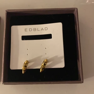 Edblad örhängen  - Använda fåtal gånger, som helt nya! Jätte fina och användbara💘💘💘 Man får med förpackning och tillbehör 💘💘💘