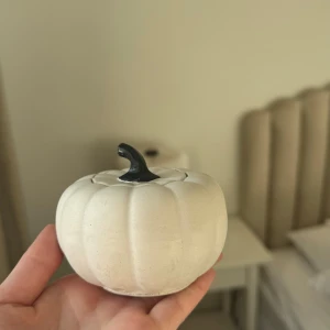 Handgjord pumpa - Handgjord pumpa gjord av plaster (känns som betong) Säljs för 70kr