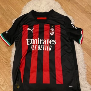 milan t shirt - en milan t shirt som har använts ett år gånger, vid fler frågor tveka inte att höra av er