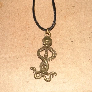 Halsband med orm och dödskalle - Coolt halsband med ett hängsmycke i form av en orm som slingrar sig runt en dödskalle. Hängsmycket är i en antik guldliknande färg och hänger på ett svart snöre. Perfekt för att ge en edgy touch till din outfit!