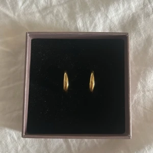 Guld örhängen  - Snygga guld örhöngen från Edblad. Säljer även likadana i silver💕