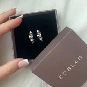 Edblad örhängen  - Bytt till guld så dem används inte!