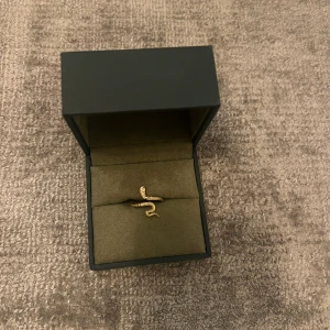 Ring  - Ring med justerbar storlek 