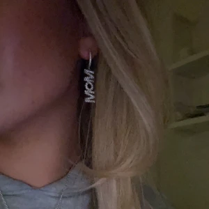 Örhänge  - Säljer mitt örhänge från ioaku som är köpt för 500kr, aldrig använt 💞💞