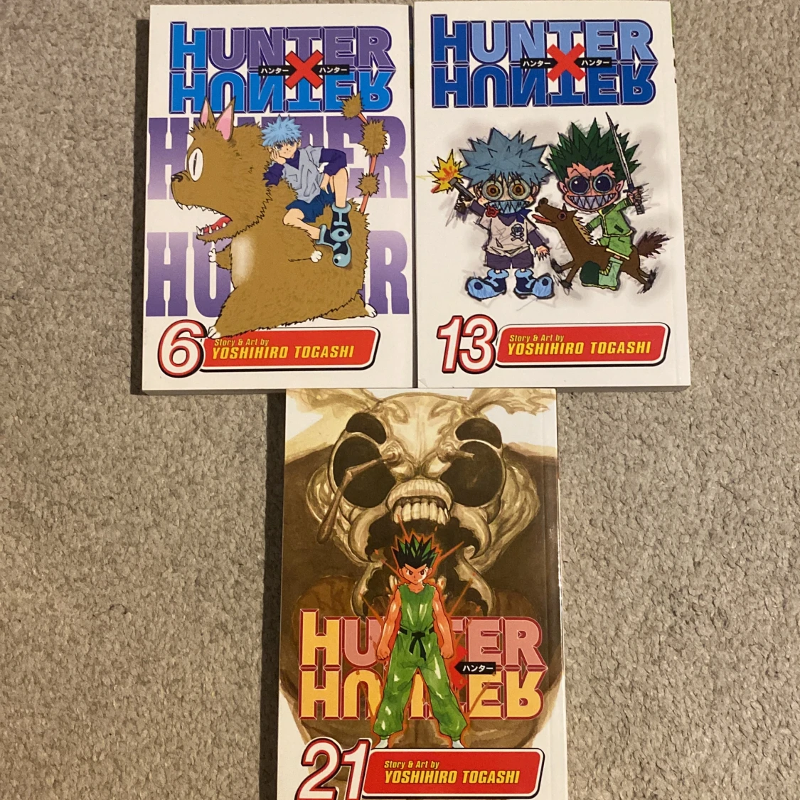 Hunter x hunter manga