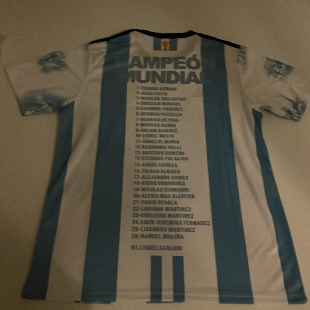 Helt ny och oanvänd tröja. Väldigt sällsynt limited edition Argentisk tröja från VM 22! Bild när Messi och laget lyfter bucklan på framsidan och hela truppen på ryggen! Bara uttagen ur inplastningen för foto! Priset varierar och kan diskuteras! . T-shirts.