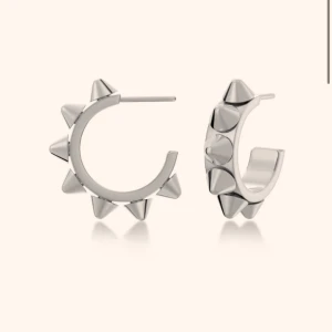 Edblad örhängen  - Säljer nu dessa jätte fina örhängen från Edblad. De är i bra skick 💓 kan även byta mot ett par guld