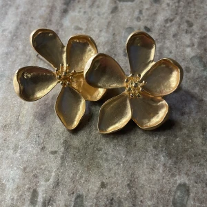 Örhängen  - Jättefina örhängen helt oanvända!💕