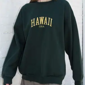 Säljer min gröna oversized sweatshirt från Brandy Melville. Trycket är broderat och tröjan har fickor i sidorna.