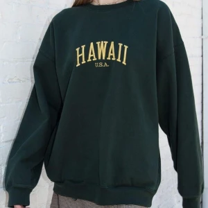 Sweatshirt - Säljer min gröna oversized sweatshirt från Brandy Melville. Trycket är broderat och tröjan har fickor i sidorna.