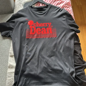 Dsquared2 t-shirt - Dsquerd2 T-Shirt XXL liten i storlek så passar L perfekt Använd fåtal gånger, inga hål/märken Ny pris 2200 Mitt pris 1200