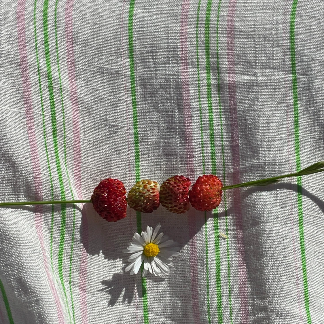 Randig midiklänning - 92