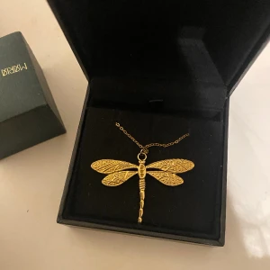 Trollsländ halsband - Så fint halsband som tyvärr inte kommer till användning då jag köpt nya halsband🙌