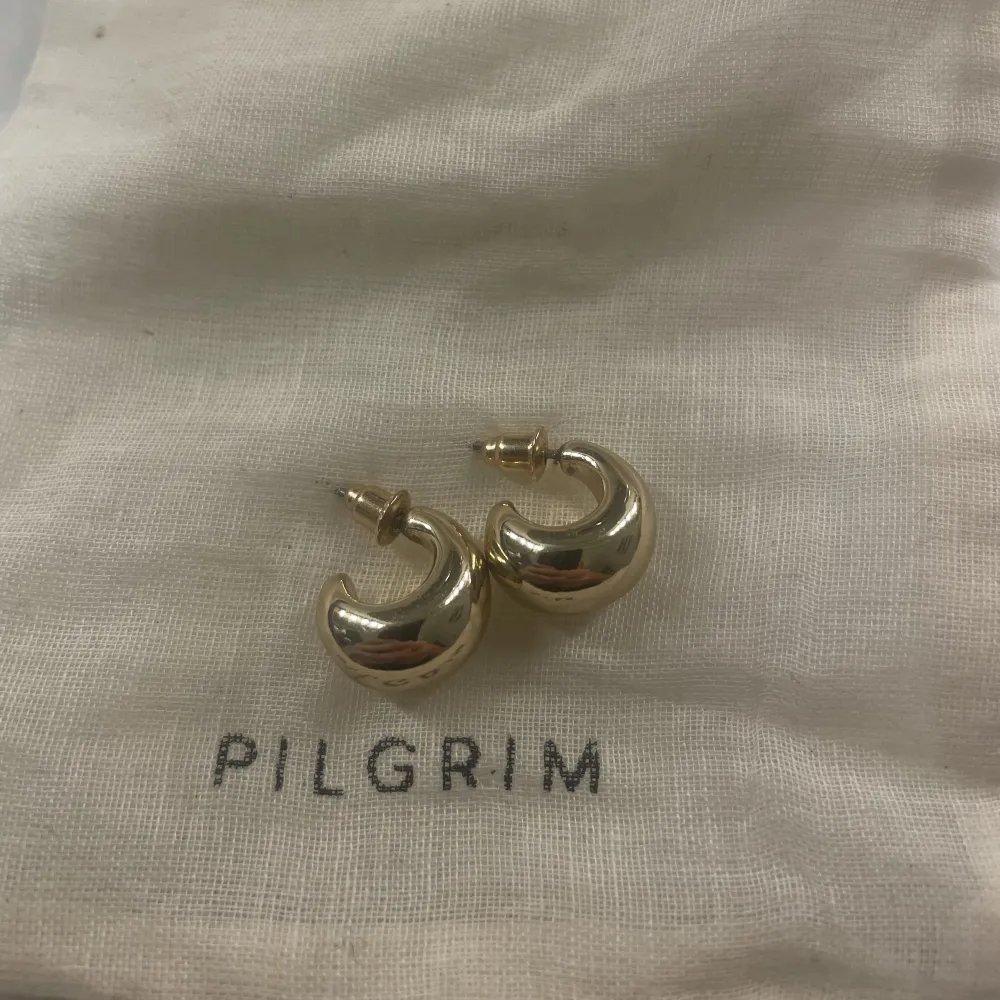 Säljer ett par superfina guldörhängen från pilgrim som jag fick i julklapp! Aldrig använda❣️. Accessoarer.