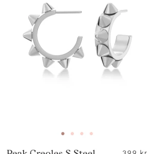 Edblad nit örhängen - Säljer mina örhängen från Edblad då jag bytt till guld🤗 bra skick förutom att plumparna är borta! Påsen till örhängena finns men ingen låda! Skulle även kunna byta mot några andra Edblad örhängen i guld🤗Kan skicka fler bilder på dem privat!!