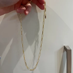 Kedja - Kedja från Pilgrim, använd 1 gång. Säljer pga jag har andra halsband jag hellre använder. Nypris 399 kr