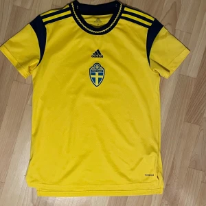 Sverige fotboll tröja  - Stolen M knappt använd Köpt för 1000kr
