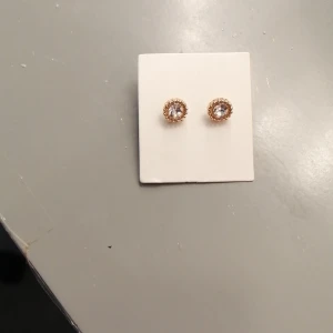 Örhängen  - Säljer pga att jag fick örhängerna i julkalender och gillade inte dem,  Pris kan diskuteras 