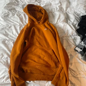 Dickies hoodie - Orange dickies Hoodie 