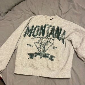 Collegetrörja - Grå collegetröja med gröna detaljer samt tryck