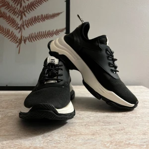 Steve Madden sneakers - Snygga sneakers från Steve Madden.  Storlek 37 (liten i storleken mer som ett par 36,5).  Sparsamt använda 