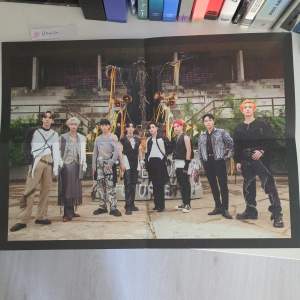 Poster skickas säkert för att behålla sitt fina skick (aldrig ens uppsatt) Officiell från From The Witness albumet Frakt ingår inte i priset