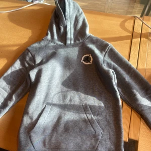 Grey Jordan Hoodie - Helt ny Jordan Hoodie Köpt i USA (nypris 650kr) För liten för mig!