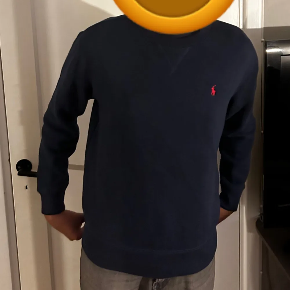 Modellen är 174cm lång. En sprillans ny Polo Ralph Lauren sweatshirt som har används bara ett fåtal gånger. Inga slitningar eller märken på plagget. . Hoodies.