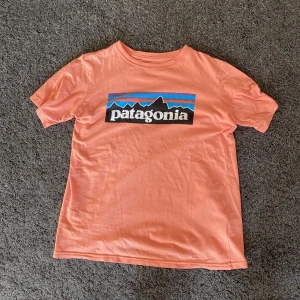 Patagonia t shirt  - Säljer denna patagonia tshirt som är använd några gånger. Den är köpt för ca 500 men säljer för 50 men pris kan diskuteras