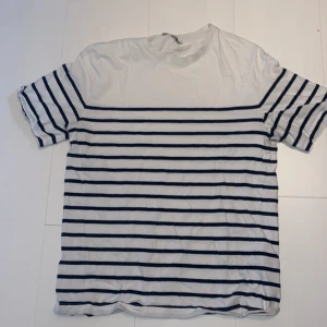 Zara t-shirt  - En zara t shirt i bra skick.andvänt 3 ggr.
