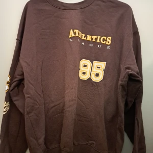 Brun tröja - Inte använd så mycket, bra skicka inga hål eller sådant. Priset är diskuterbart.