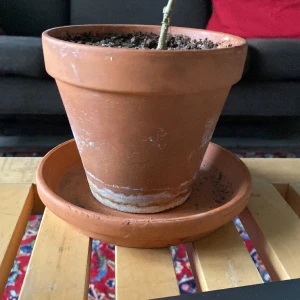  ful kruka - ful kruka