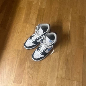 Nike skor - Fint skick  Skornas värde ligger på ungefär 3500 kr