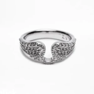 Zadig ring  - Fick den förra julen så har tyvärr inte kvar förpackningen. Inga nitar har lossnat 