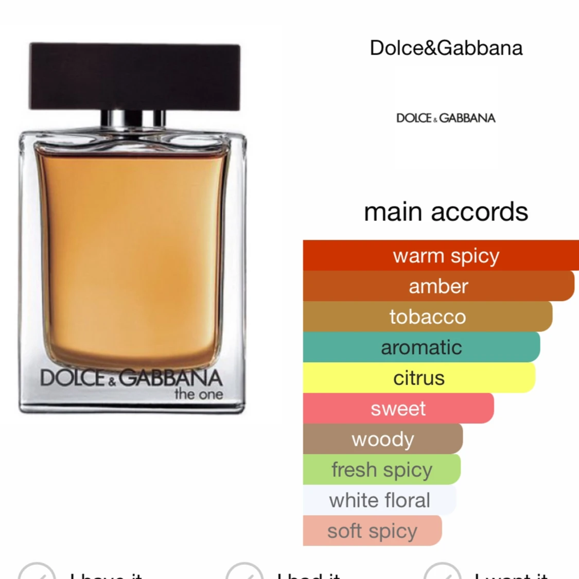 Dolce gabbana the one - 92