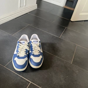 Axel arigato dice lo - Blåa Axel arigato dice lo storlek 44 Nästintill oanvända, mycket bra skick 