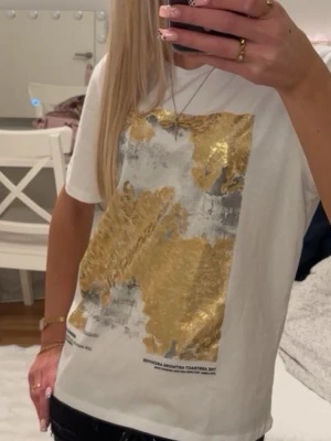 guldig t-shirt  - säljer min guldiga t-shirt från zara, finns ej mer